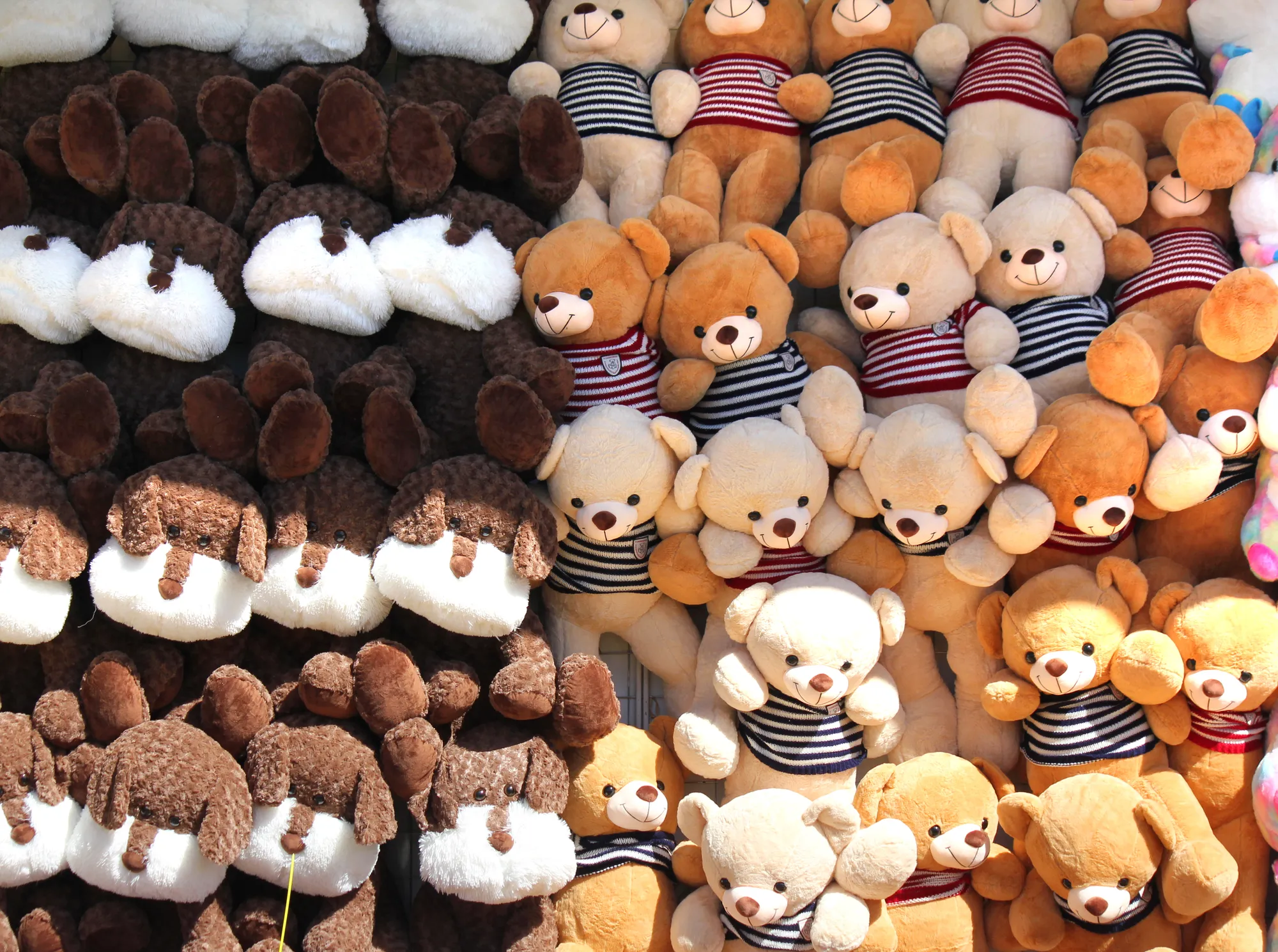 teddy-bears-at-the-fair-2025-01-08-03-45-51-utc